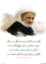 آلبوم تصاویر حضرت آیت الله العظمی بهجت ره  (88/460)